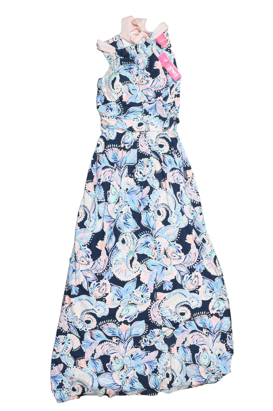Lilly Pulitzer Martina Maxi Dress Womens Medium Holy Flockamolie Blue Pink NEW
